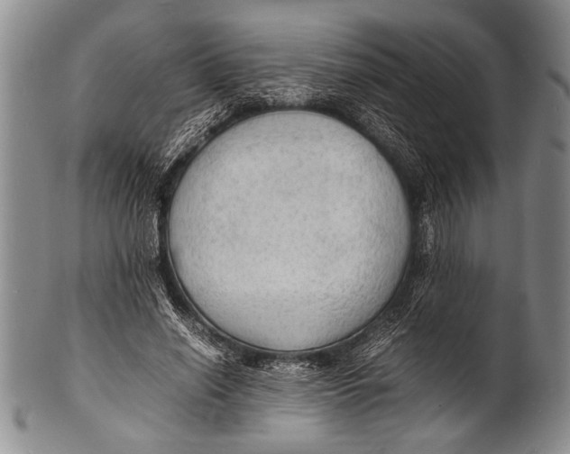 X0000100310638200806261203