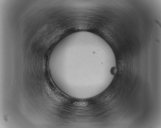 X0000100310639200806261203