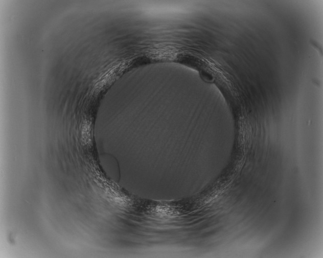 X0000100310641200806261203