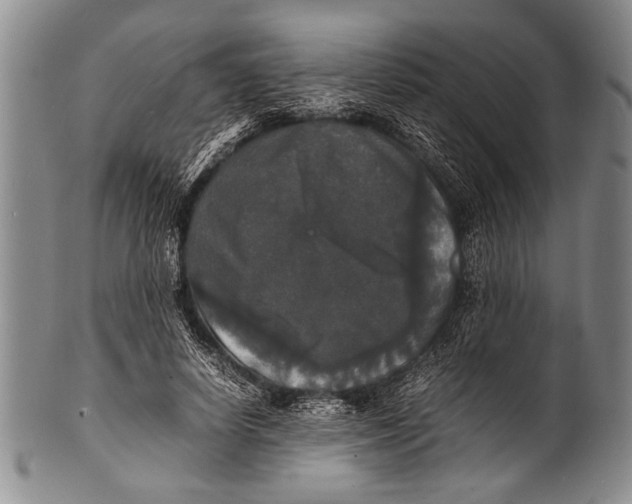 X0000100310642200806261203