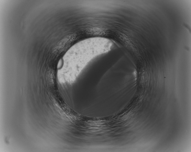 X0000100310643200806261203