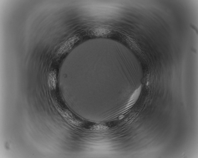 X0000100310644200806261203