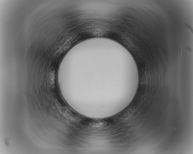 X0000100310646200806261203