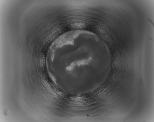 X0000100310647200806261203