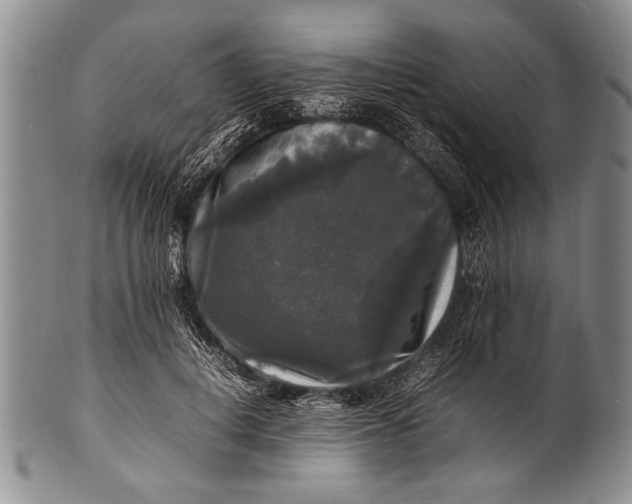 X0000100310648200806261203