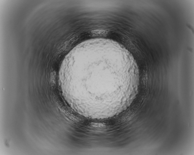 X0000100310649200806261203