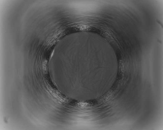 X0000100310650200806261203