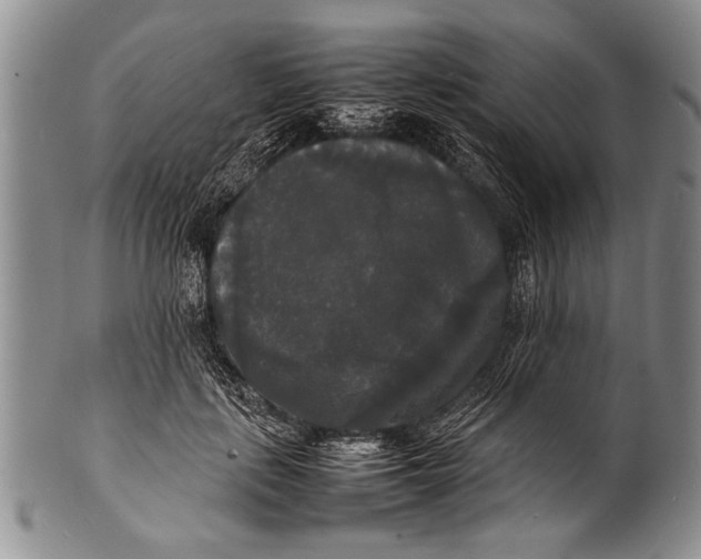 X0000100310651200806261203