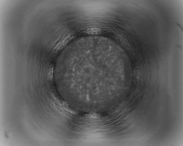 X0000100310652200806261203