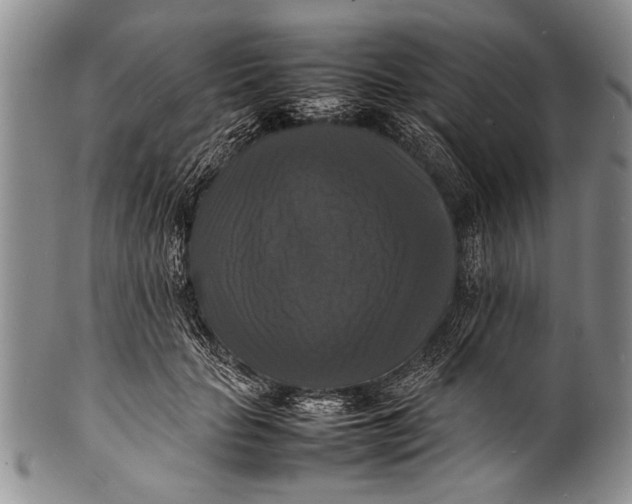 X0000100310653200806261203