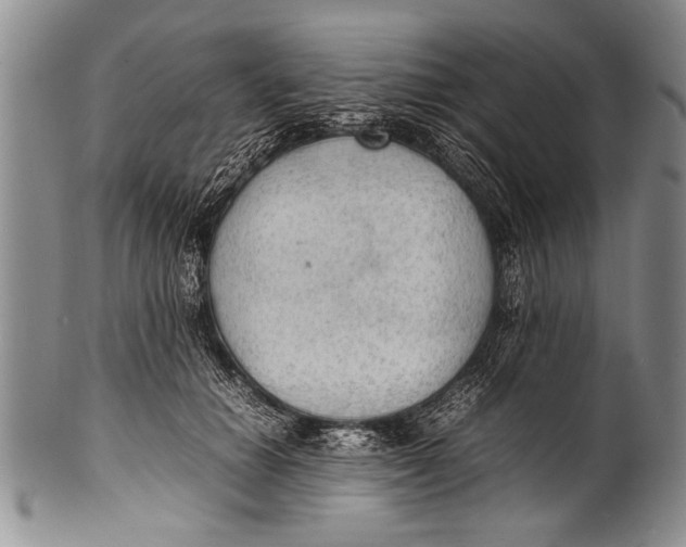 X0000100310654200806261203