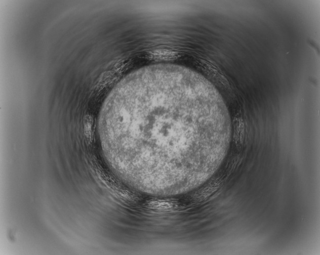 X0000100310655200806261203