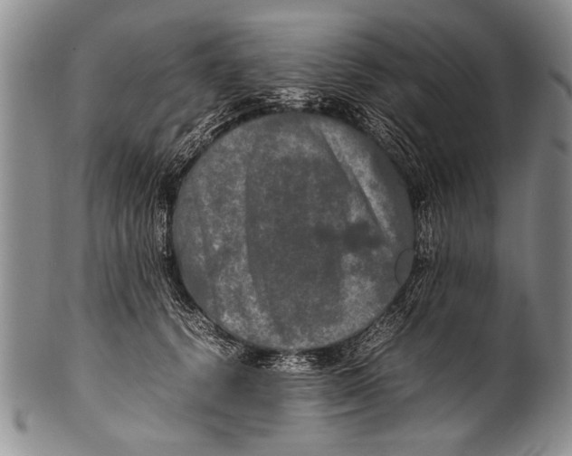 X0000100310656200806261203