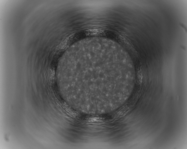 X0000100310657200806261203