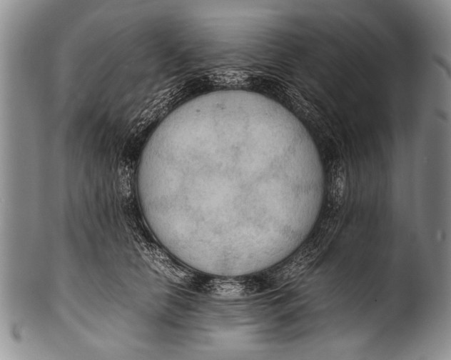 X0000100310658200806261203