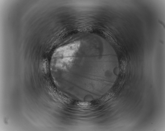 X0000100310659200806261203