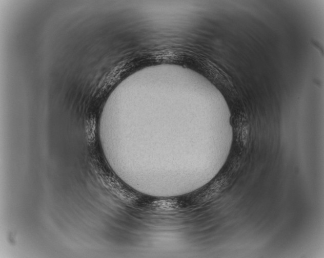 X0000100310660200806261203