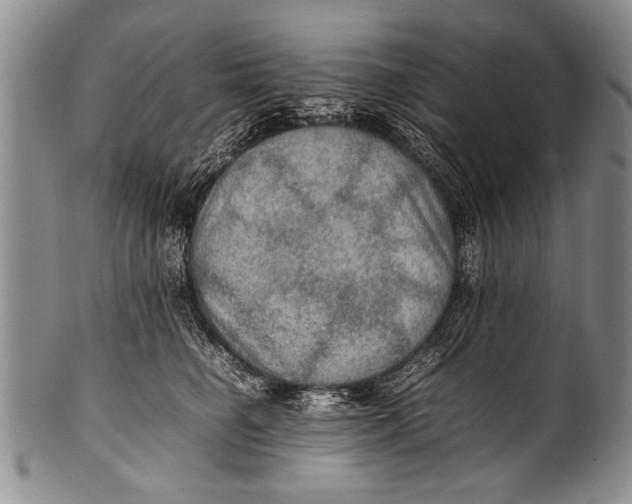 X0000100310662200806261203