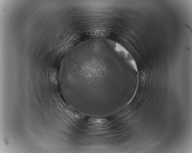 X0000100310663200806261203