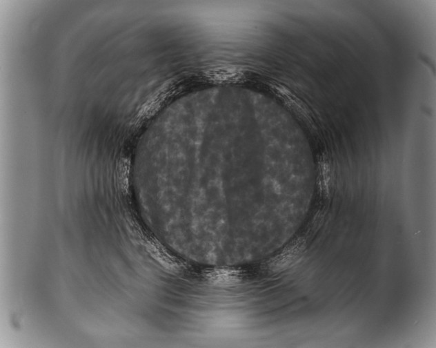 X0000100310664200806261203