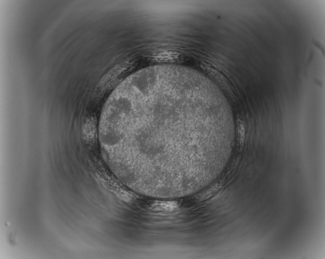 X0000100310665200806261203