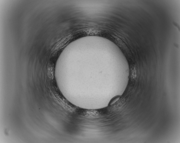 X0000100310666200806261203