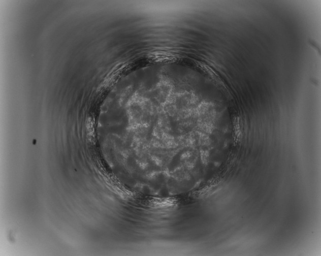 X0000100310667200806261203