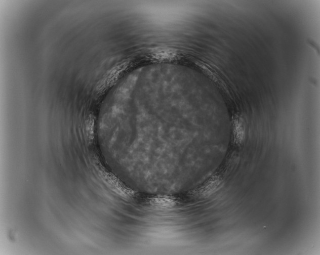 X0000100310668200806261203