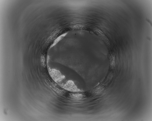 X0000100310669200806261203