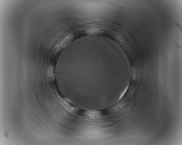 X0000100310670200806261203