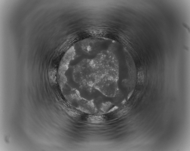 X0000100310671200806261203