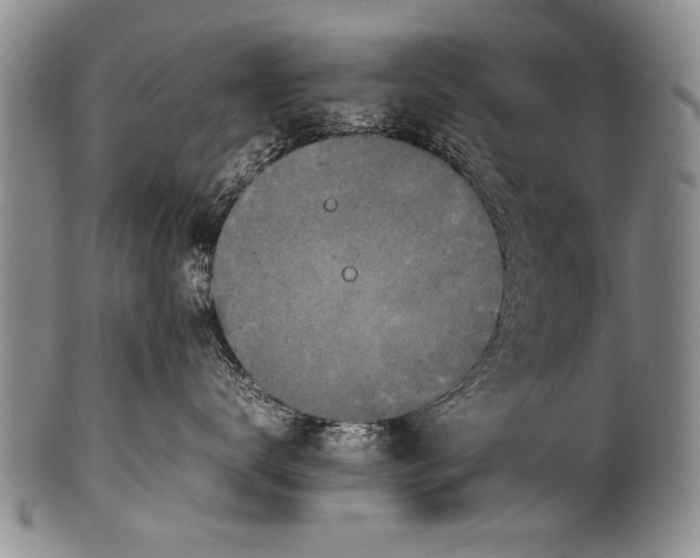 X0000100310672200806261203