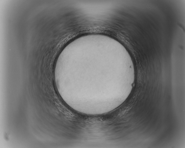 X0000100310673200806261203