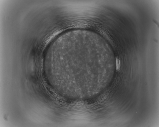 X0000100310675200806261203