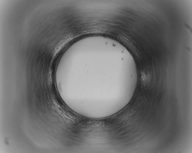 X0000100310676200806261203