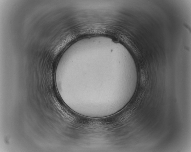 X0000100310677200806261203