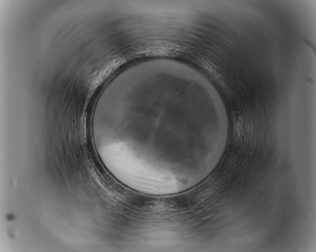 X0000100310678200806261203