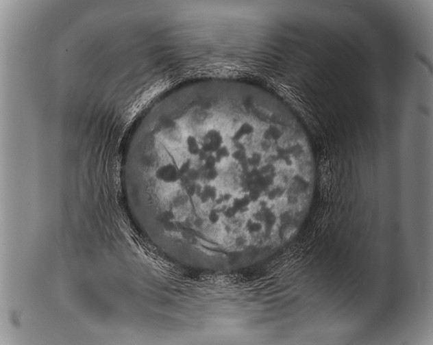 X0000100310679200806261203