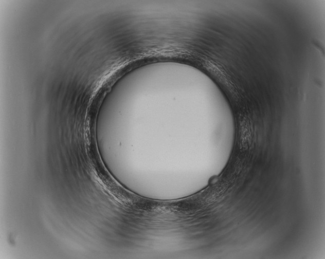 X0000100310680200806261203