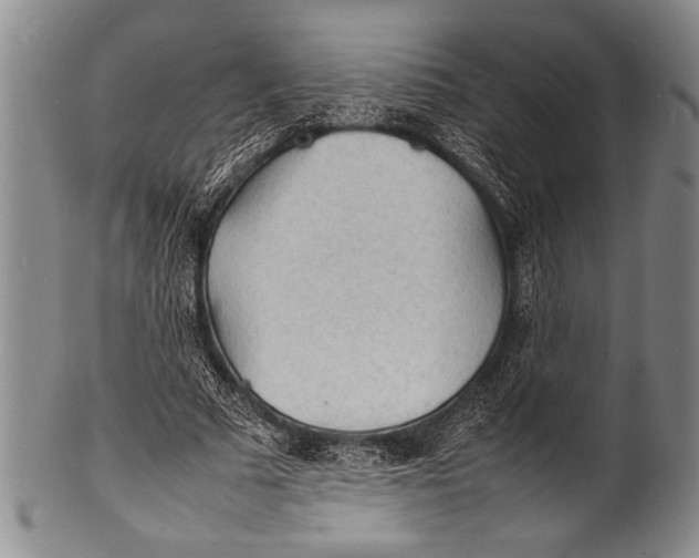 X0000100310681200806261203