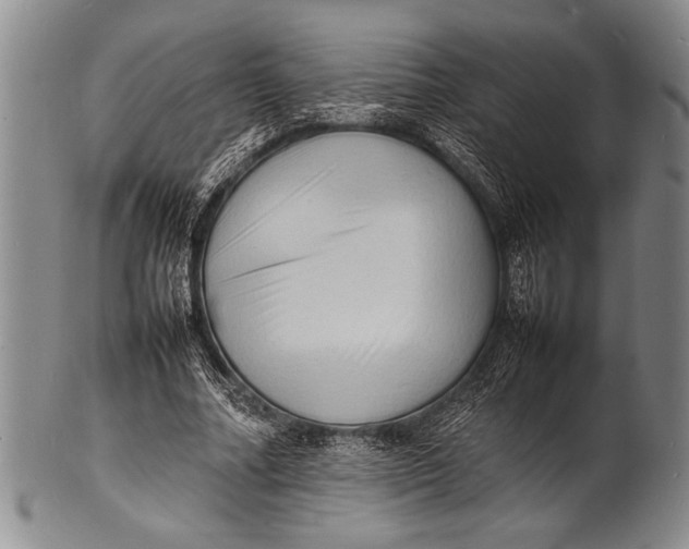 X0000100310682200806261203