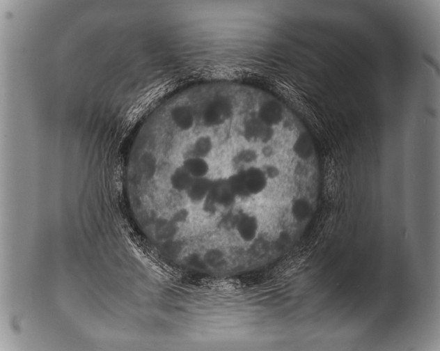 X0000100310683200806261203