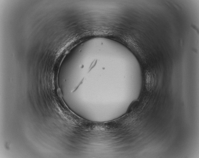 X0000100310684200806261203