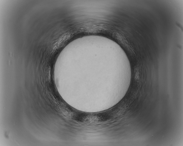 X0000100310685200806261203