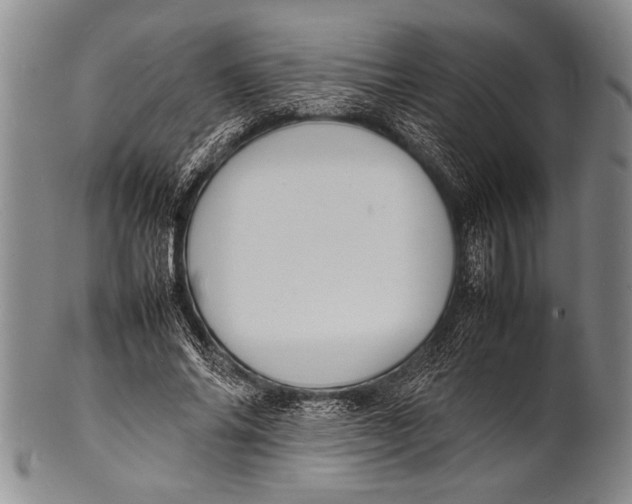 X0000100310686200806261203