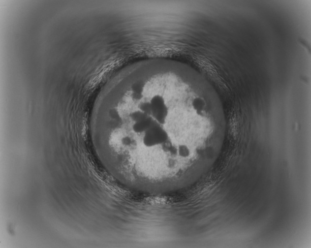 X0000100310687200806261203