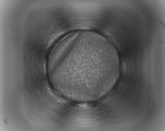 X0000100310688200806261202