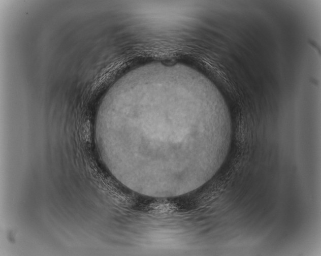 X0000100310689200806261202