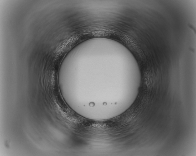 X0000100310690200806261202