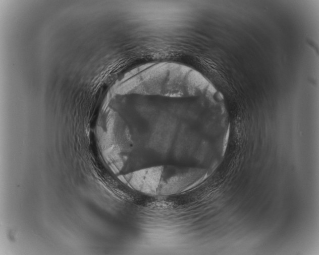 X0000100310691200806261202